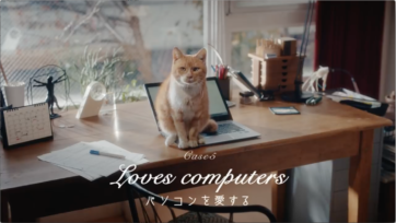 Google Home Mini / Loves Cats