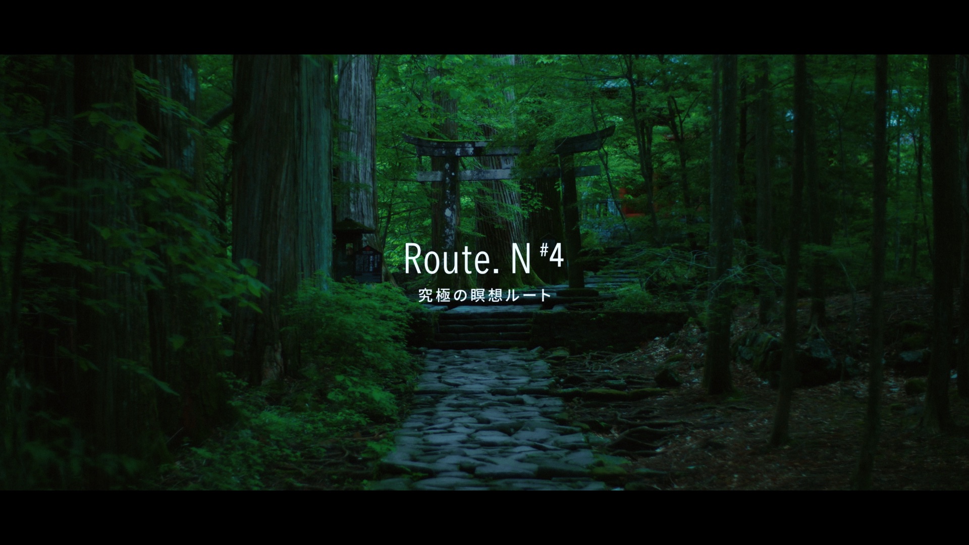 日光市 PR 動画 Route.N #4 究極の瞑想ルート篇 プロデューサー 山下太平 企画 制作 THE OCTOPUS